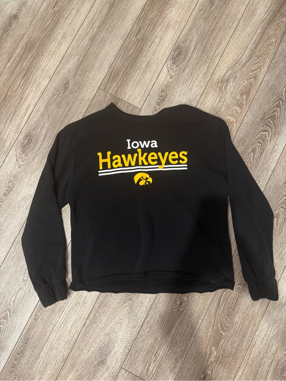 Iowa Hawkeye sweatshirt